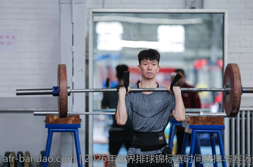 2026年世界排球锦标赛时间安排与赛场分配详解