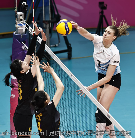 温布尔登2026比赛签表全景：重点赛事与看点分析