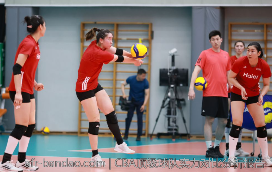 CBA顶级球队实力对比分析报告