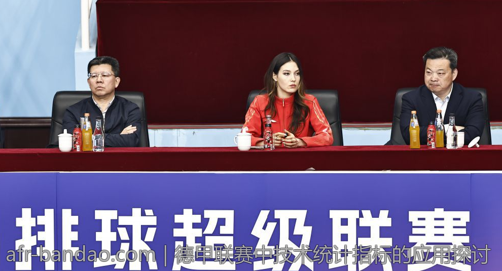 德甲联赛中技术统计指标的应用探讨