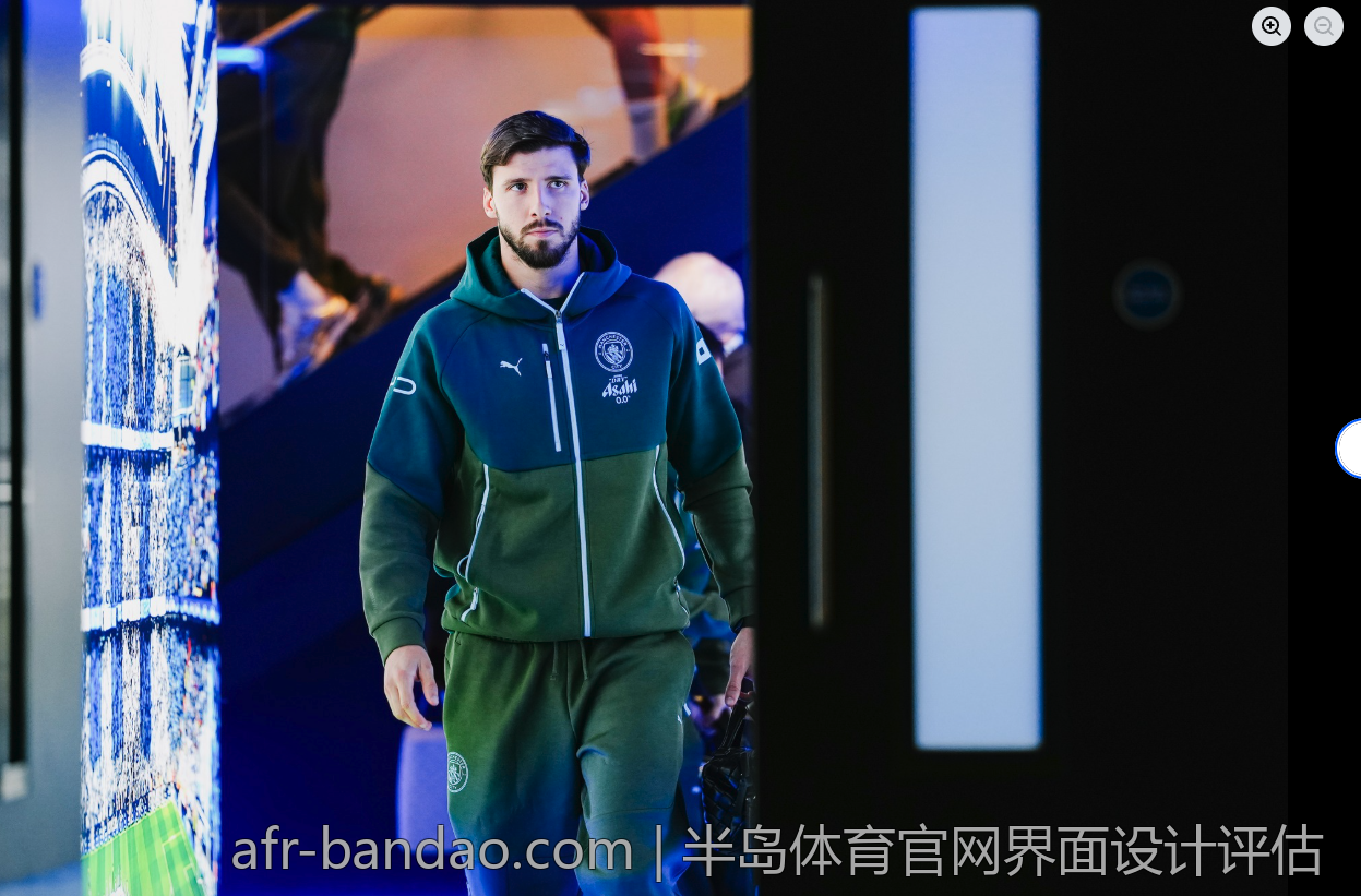 半岛体育官网界面设计评估